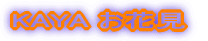 �Ԍ� 2007
